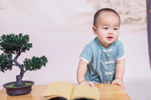 韶关可爱的企鹅宝宝